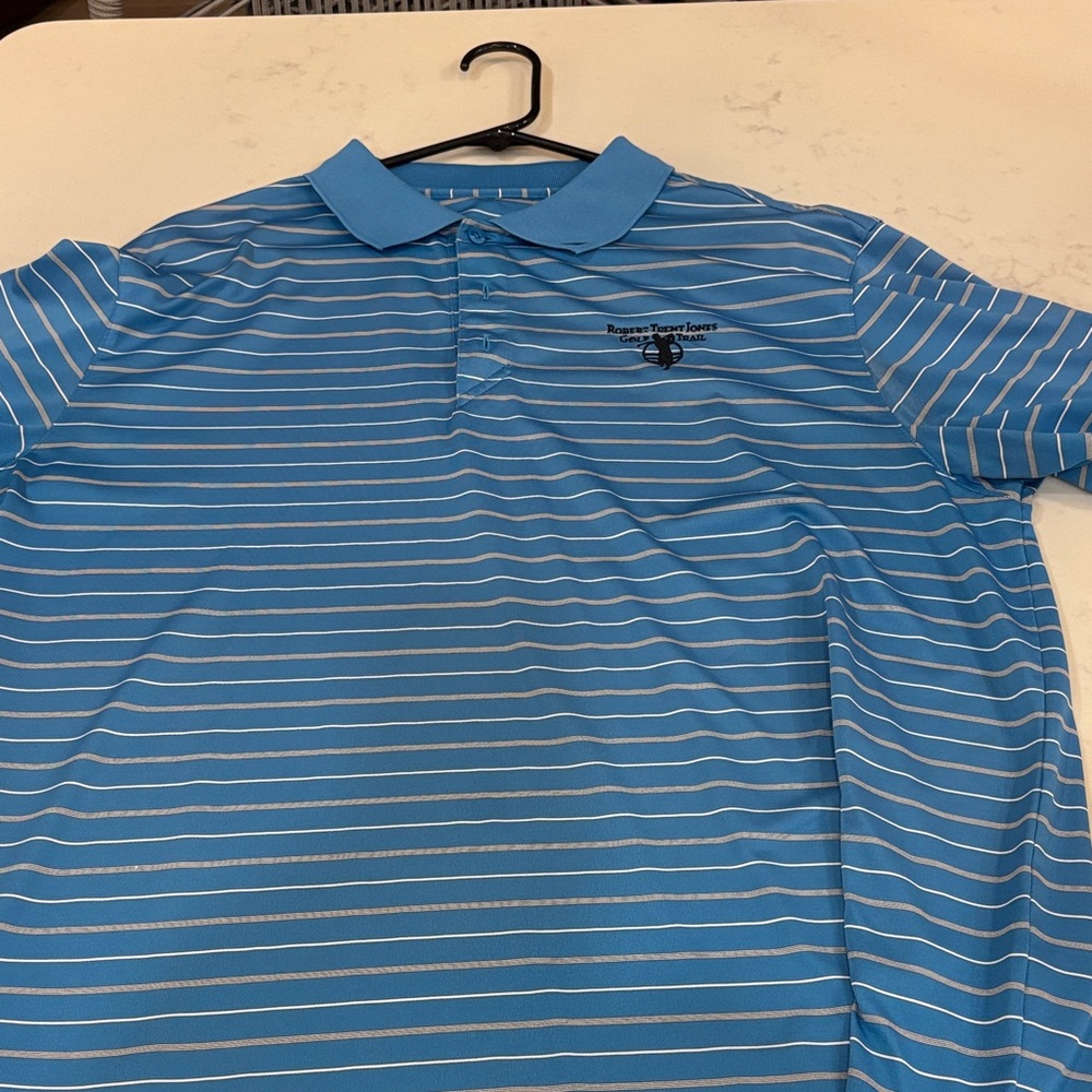Blue Striped Polo Shirt